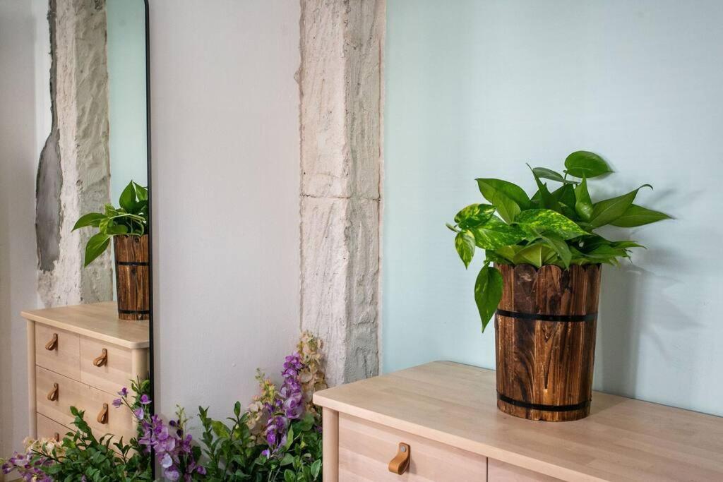 Beautiful 1br Tlv Flat Apartment *